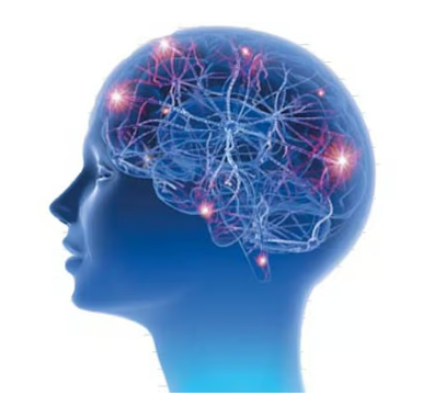 Fits (Epilepsy)